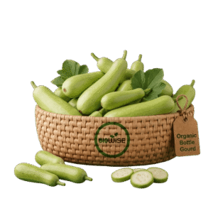 Organic Bottle Gourd (Lauki) – Naturally Grown by BioWise