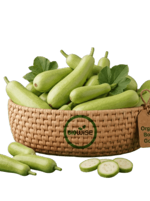 Organic Bottle Gourd Organic Bottle Gourd (Lauki) – Naturally Grown by BioWise