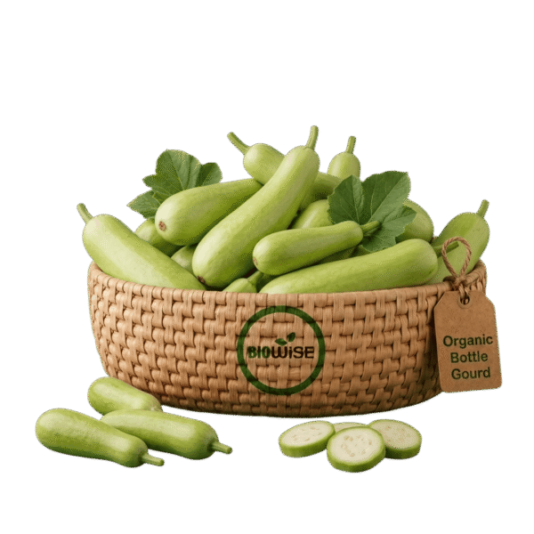 Organic Bottle Gourd (Lauki) – Naturally Grown by BioWise